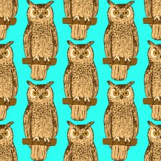 Sketch owl in vintage style