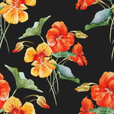 Watercolor nasturtium flower pattern N2