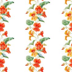 Watercolor nasturtium flower pattern N3