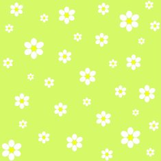 Floral Pattern N723