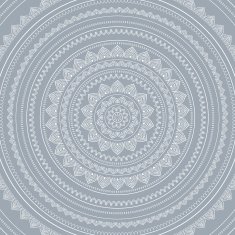 Lace background Mandala N2