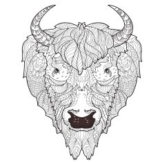 Bison head doodle N2