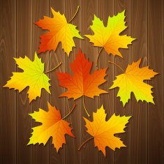 Autumn background with leaf and wood texture Vector illustration