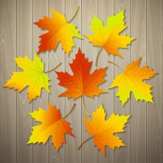 Autumn background with leaf and wood texture Vector illustration N2