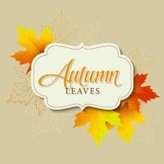 Autumn typographic Fall leaf Vector illustration N2