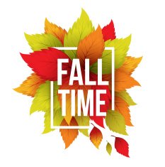 Autumn typographic Fall leaf Vector illustration N7