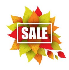 Autumn typographic Fall leaf Vector illustration N9