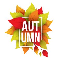 Autumn typographic Fall leaf Vector illustration N10
