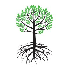 Summer Tree and Roots Vector Illustration