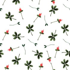 Watercolor floral N12