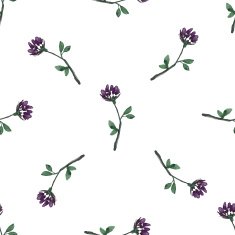Watercolor floral N13