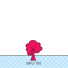 Maple tree icon Forest wood sign N4