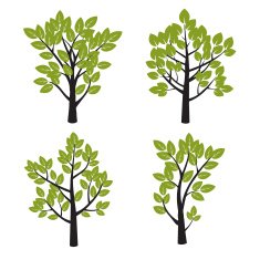 Set of Black Tree and Green Leafs Vector Illustration
