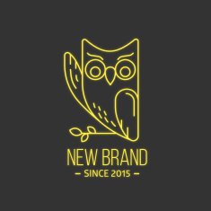 Vintage owl logo in thin line style N2