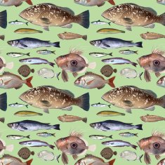 Fish repet N2