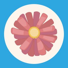 flower theme elements vector eps N9