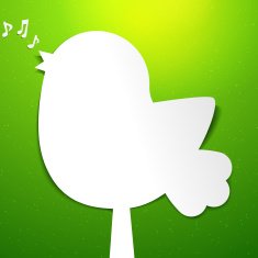 Bird applique