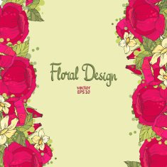 Floral Border N25