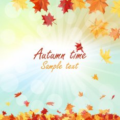 Autumn Frame N40
