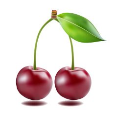 Ripe red cherry berries with leaves N2