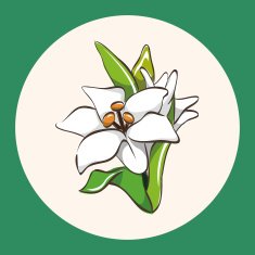 flower theme elements vector eps N14