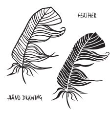 Hand drawn silhouettes of feathers in black and white