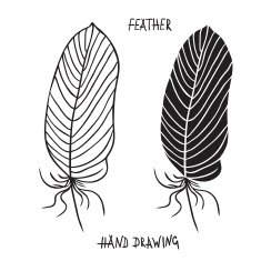 Hand drawn silhouettes of feathers in black and white N2