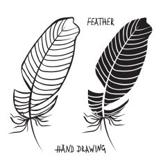Hand drawn silhouettes of feathers in black and white N3