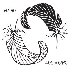 Hand drawn silhouettes of feathers in black and white N4