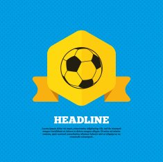 Football ball sign icon Soccer Sport symbol N2