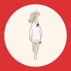 bird cartoon theme elements vector eps N41