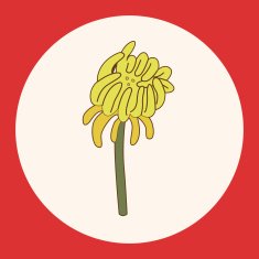 flower theme elements vector eps N55