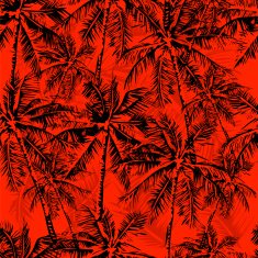tropical pattern N27