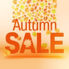 Autumn Sale N22