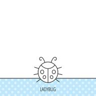 Ladybug icon Ladybird insect sign N3