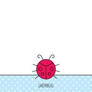 Ladybug icon Ladybird insect sign N4