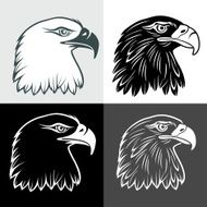 Eagle Head N8