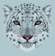 Illustrative Portrait of Snow Leopard