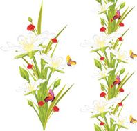 Spring white flowers and butterflies isolated on the