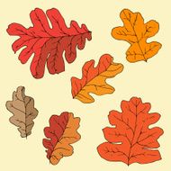Set of different isolated hand drawn oak leafs