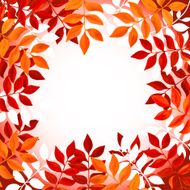 Floral background with orange and red leaves
