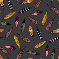 Feathers N16