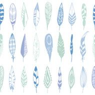 Feathers N24