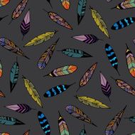 Feathers N25