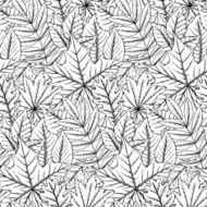 Vector seamless pattern with highly detailed hand drawn leaves N5