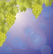 The vines against the sky N2