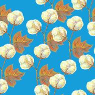 Seamless pattern with cotton bolls
