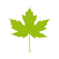 Autumnal Maple Leaf silhouette