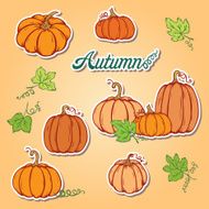 Pattern with pumpkins N2