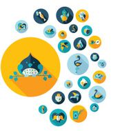 Flat concept design with shadow collection birds N18